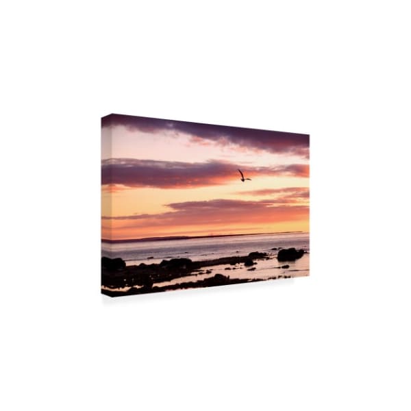 Monte Nagler 'Flying At Sunrise Sault St. Marie Michigan Color' Canvas Art,16x24